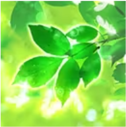 みんなの電話占い（みんでん）心ノ羽（コノハ）さん 口コミで当たる？当たらない？ウラスピ レディスピ分析