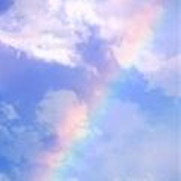 電話占いカリス さら