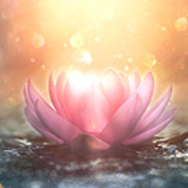 エキサイト電話占い 愛寿湖 (あいずみ)