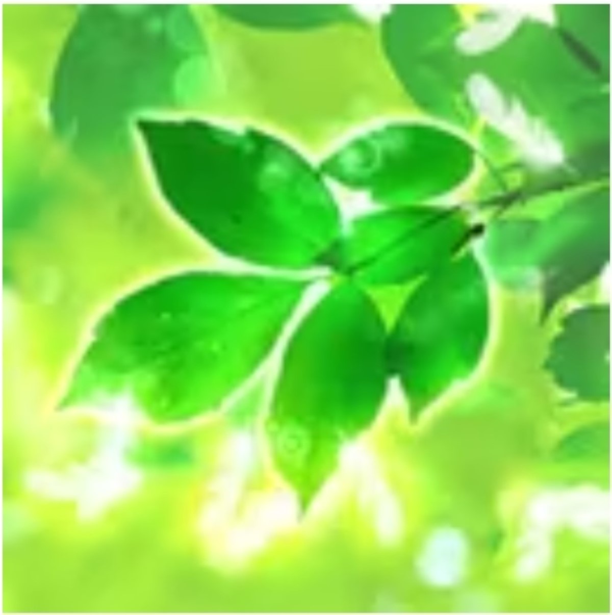 みんなの電話占い（みんでん）心ノ羽（コノハ）