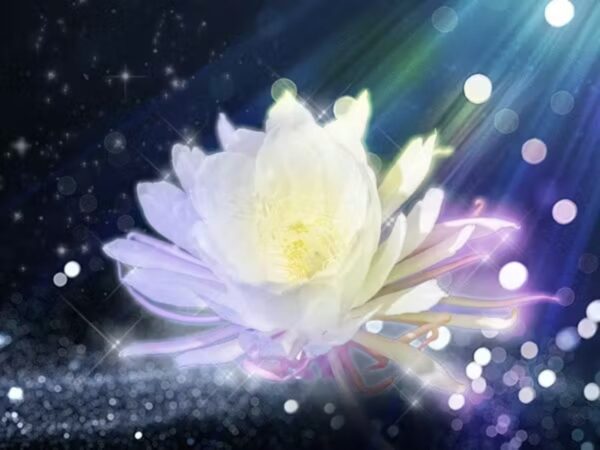 みんなの電話占い （みん電）涼花 （スズカ）