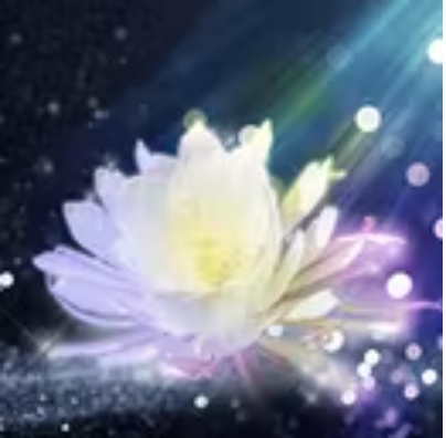 みんなの電話占い 涼花先生（スズカ先生）