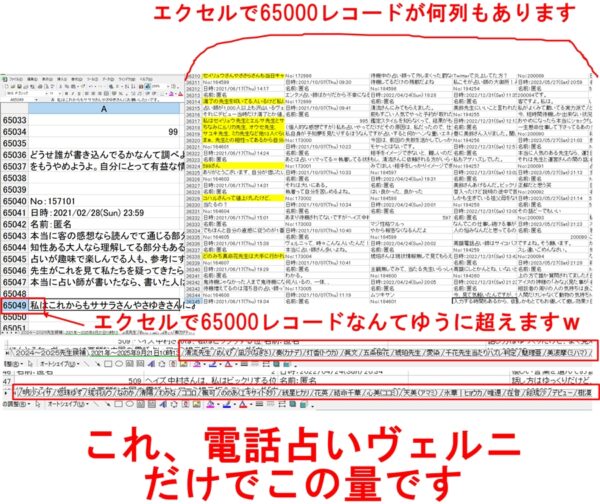 電話占いヴェルニの口コミ分析状況