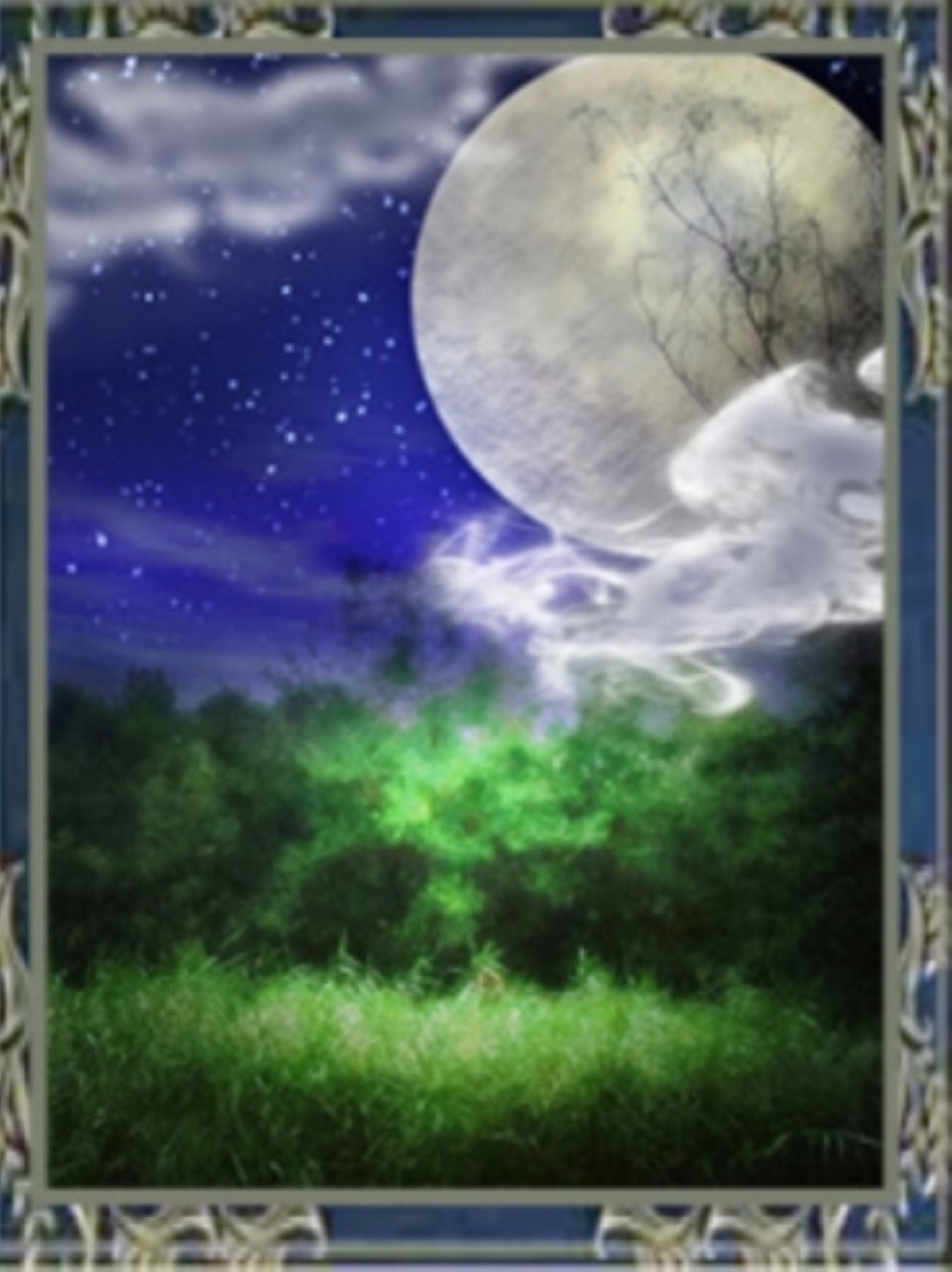 ウィル妙鈴法 (ミョウリンポウ)